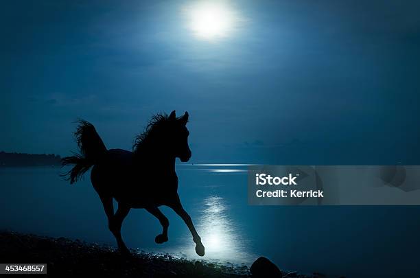 Galloping Cavalo No Luar Na Praia - Fotografias de stock e mais imagens de Cavalo - Família do Cavalo - Cavalo - Família do Cavalo, Correr, Noite