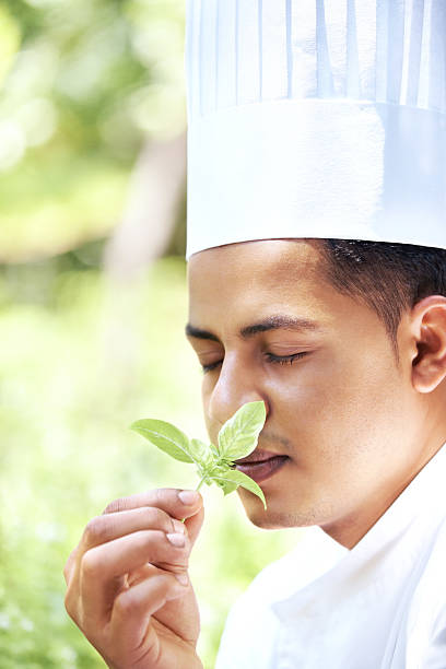 istock Perfection - Young chef smelling fresh basil leaves 453469739