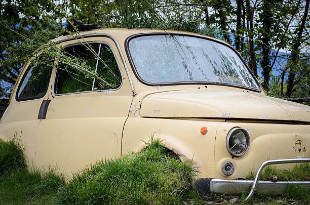 istock Old Fiat 500 Classic with green 453477959