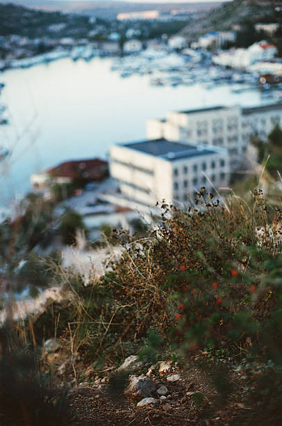 berries on the background of city - lyman 個照片及圖片檔