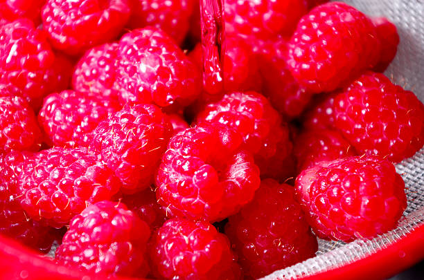 istock Raspberries Being Washed In Sieve 453478919