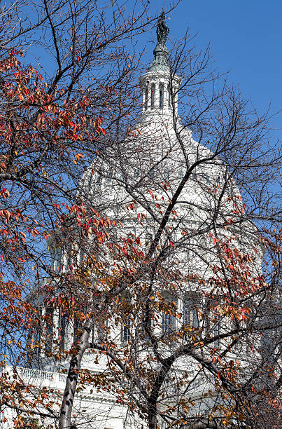 istock US Capitol Building in Autumn 453480127