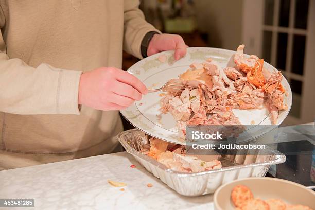 Turkey Leftovers After Thanksgiving Dinner Stock Photo - Download Image Now - Leftovers, Turkey Meat, Turkey - Bird