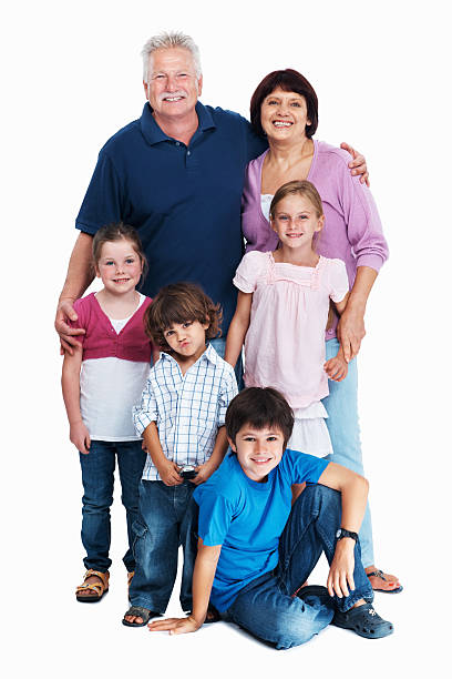 istock Caucasian family portrait 453484485