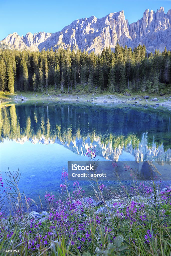 Lago di Carezza e Latemar - Foto stock royalty-free di Albero