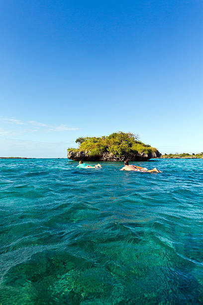 istock Mozambique, Nampula Province, limestone formations, high tide. 453485329