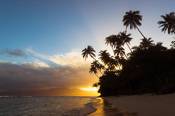 Fiji Beach in Fiji's Northeast. An island close to Taveuni taveuni photos stock pictures, royalty-free photos & images