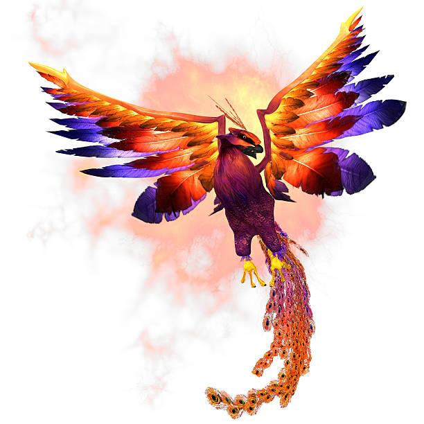 phoenix rising - wildfowl imagens e fotografias de stock