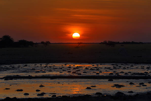 istock Sunset at the waterhole 453487243