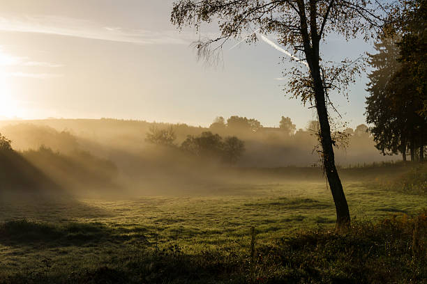 istock Autumn sunrise in Morvan, Burgundy. 453487377