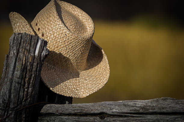 istock Coboy hat laid on a fence 453488027