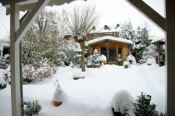 istock Winter garden in Holland 453489313