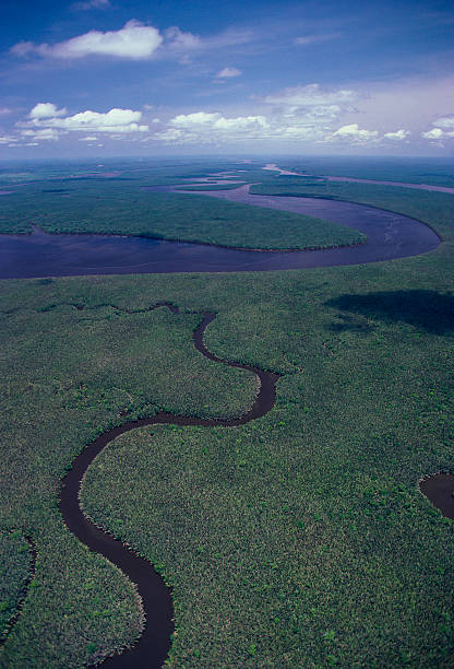 il delta mahakam a kalimantan orientale - river aerial view delta rainforest foto e immagini stock