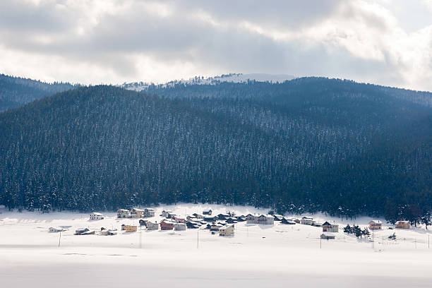 Village near the forest