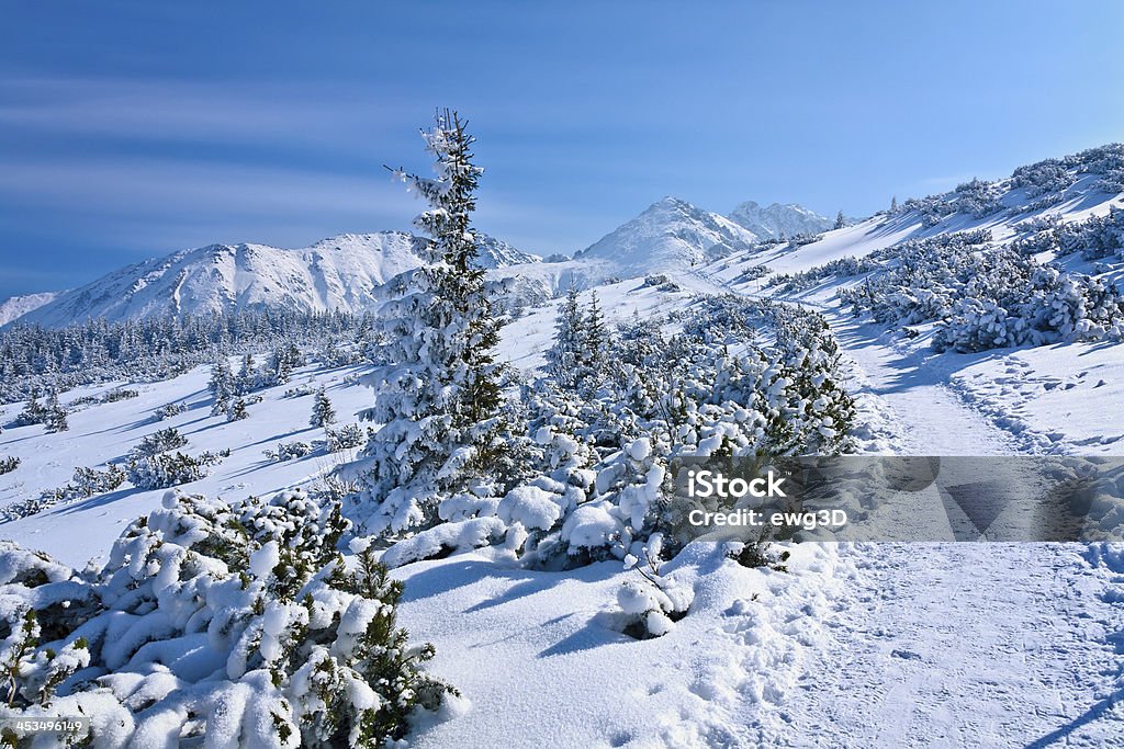 Trilho nas montanhas - Royalty-free Alpes Europeus Foto de stock