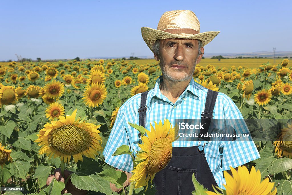 Agricoltore e girasole - Foto stock royalty-free di Adulto