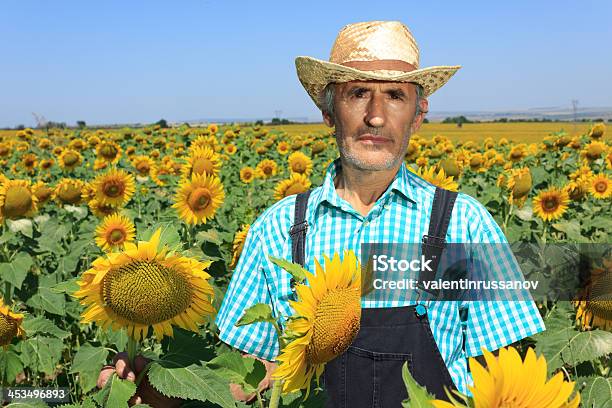 Agricoltore E Girasole - Fotografie stock e altre immagini di Adulto - Adulto, Agricoltore, Agricoltura