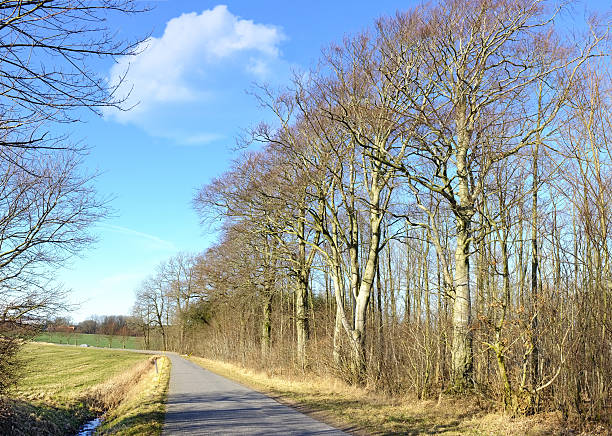 istock Autumn driving in the country 453497013