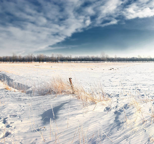 istock Wintertime landscapes covered in snow 453497529