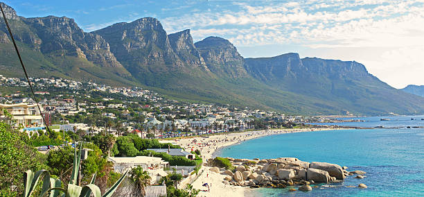 istock CAPE TOWN AREA - SOUTH AFRICA 453497789