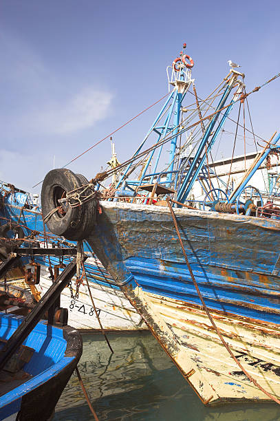 istock Fishing boats in port 453498473