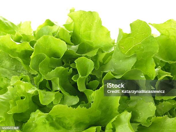 Photo libre de droit de Salade Verte banque d'images et plus d'images libres de droit de Aliment - Aliment, Couleur verte, En-cas