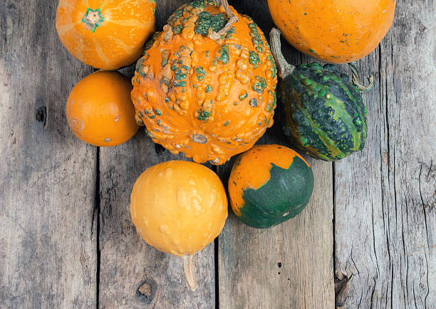 istock Pumpkins on a wooden table , backrounds 453504687