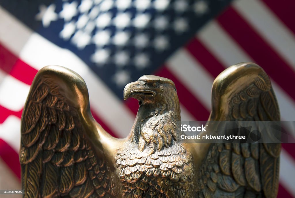 Amerykańska flaga i eagle - Zbiór zdjęć royalty-free (Orzeł)