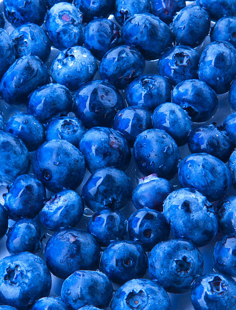 Group of blueberries stock photo