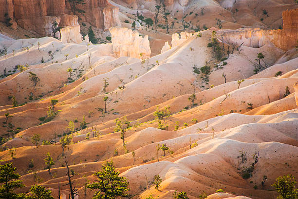 istock beautiful landscape in Bryce Canyon 453512481