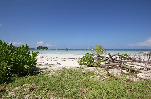 istock Cote D’Or Beach on Praslin Island, Seychelles 453513703