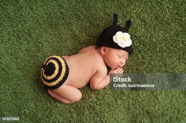 Newborn Baby Girl Wearing A Bee Costume Stock Photo - Download Image Now - Baby Girls, Bumblebee, Baby - Human Age