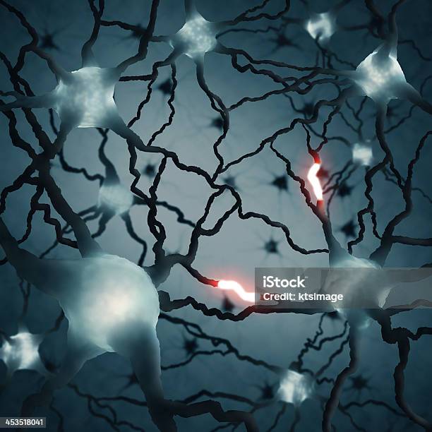 Multipolar - Fotografias de stock e mais imagens de Anatomia - Anatomia, Axónio, Ciência