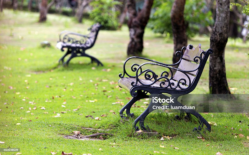 Cadeira de Metal no parque - Foto de stock de Ajardinado royalty-free