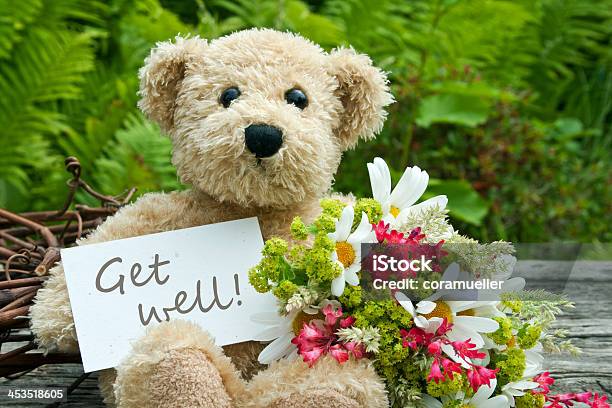 Get Well Soon Little Brown Teddy Bear Pink Flower Flowers Bears