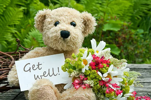 teddy bear with flowers and card with lettering get well