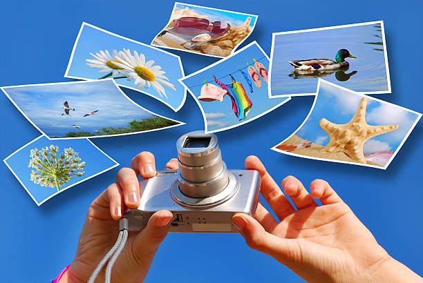 istock summer holidays  photos concept 453521427