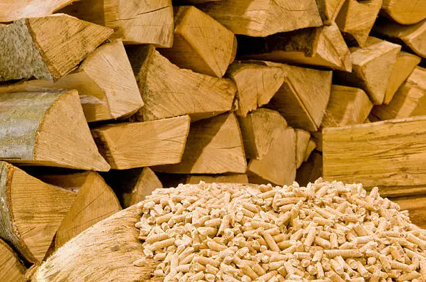Wood logs and wood pellets