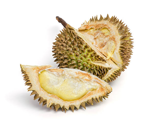istock Durian. Giant Tropical Fruit. 453526001