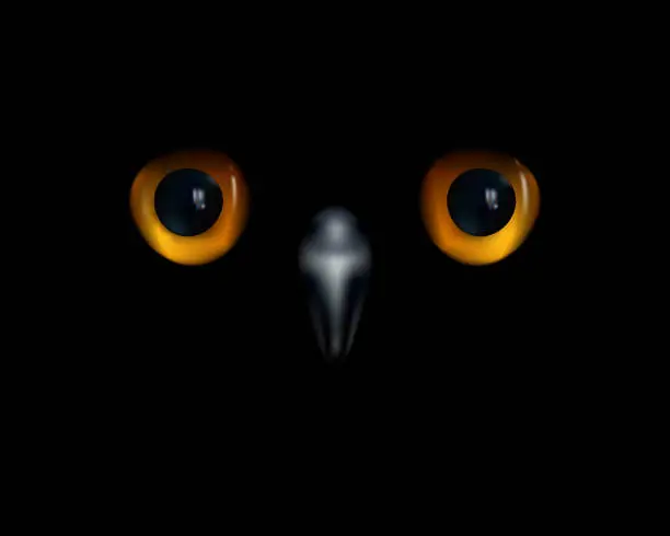 Vector illustration of Owl's eyes