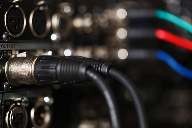 XLR audio digital cables in the rear panel of the professional VCR. RGB video cables in blur.