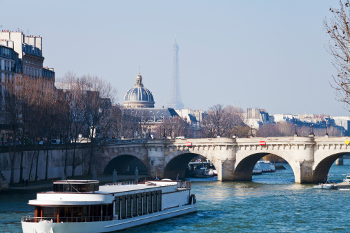 view of Pont Neuf with Eiffel Tower and French Academy on background in Paris