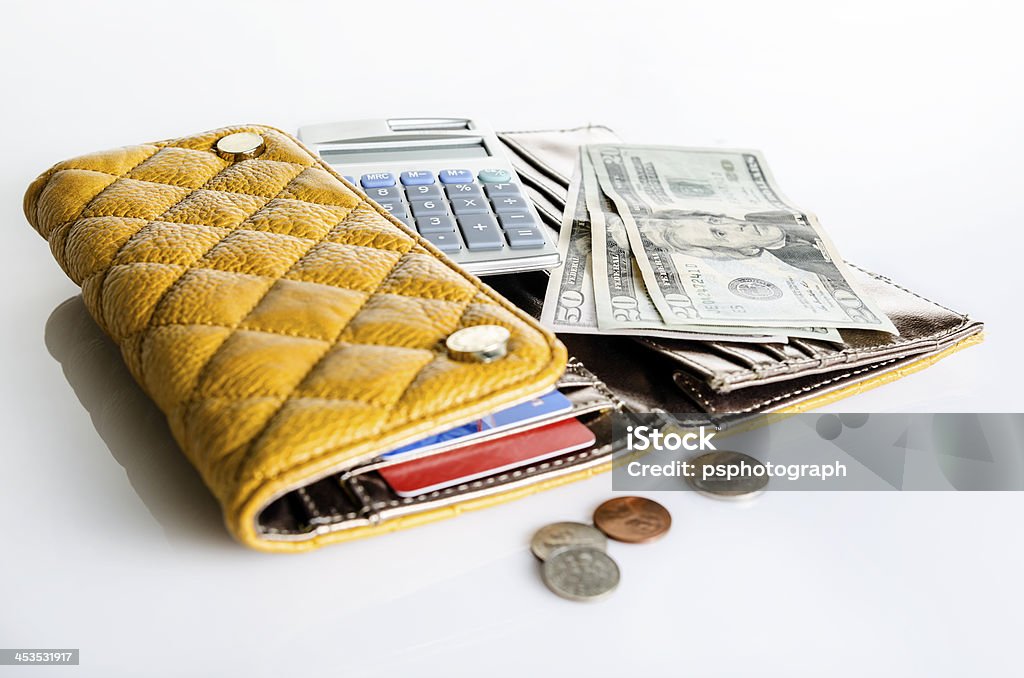 Женщины Кошелек и деньги - Стоковые фото 20 американских долларов роялти-фри
