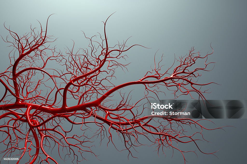 Sistema vascular completo do sangue nas veias das - Foto de stock de Veia royalty-free