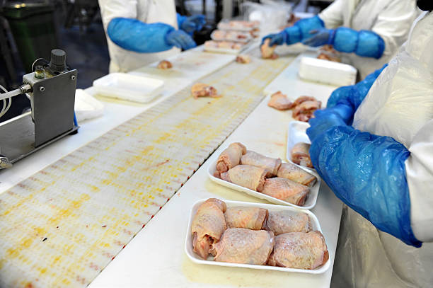 가금육 처리 - food processing plant poultry chicken raw 뉴스 사진 이미지
