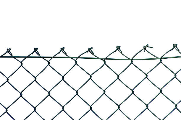 istock New wire security fence, green, isolated macro closeup 453533903