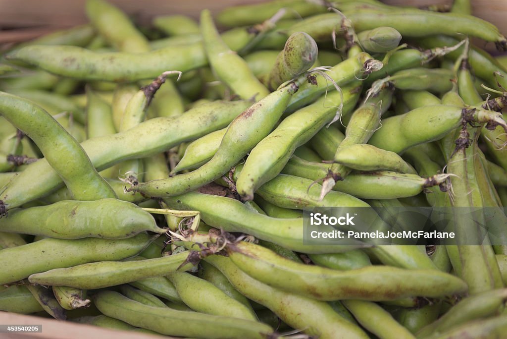 Fava o grandes Beans en un mercado de agricultores - Foto de stock de Aire libre libre de derechos