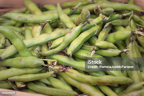 Fava O Grandes Beans En Un Mercado De Agricultores Foto de stock y más banco de imágenes de Aire libre - Aire libre, Alimento, Caja