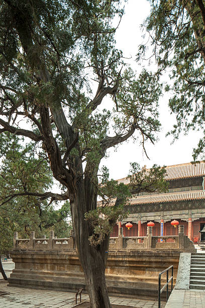 istock china taishan ancient buildings, daimiao 453540383