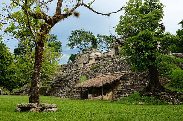 Mayan ruins in Palenque, Chiapas, Mexico.